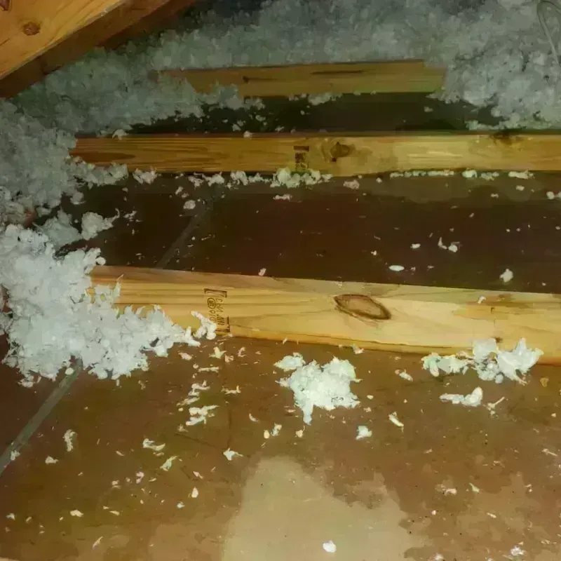 Attic Water Damage in Wyoming, IL