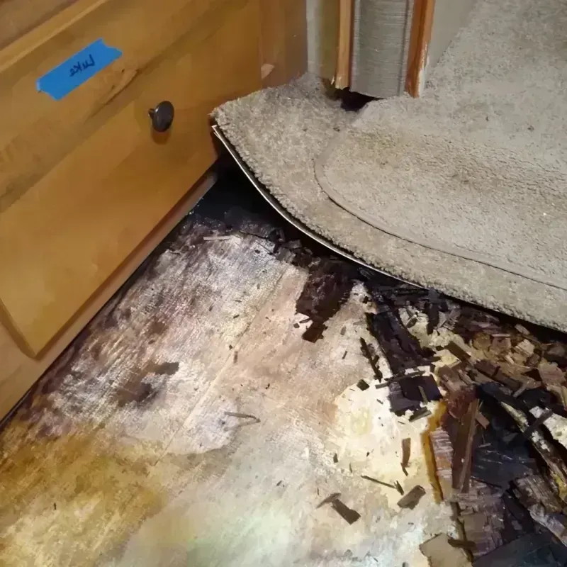 Wood Floor Water Damage in Wyoming, IL